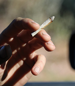 Sécurité routière Hausse de la consommation de cannabis chez les jeunes